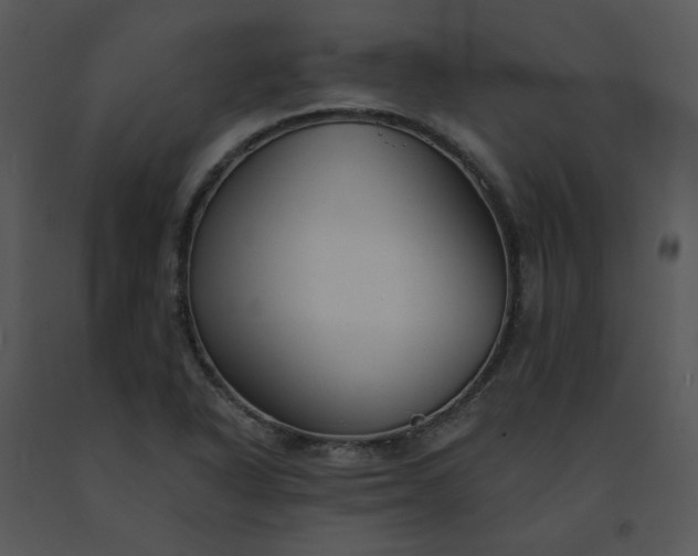 X0000091511318200708311219