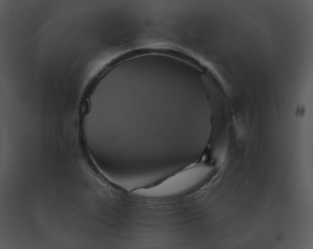 X0000091511319200708311219