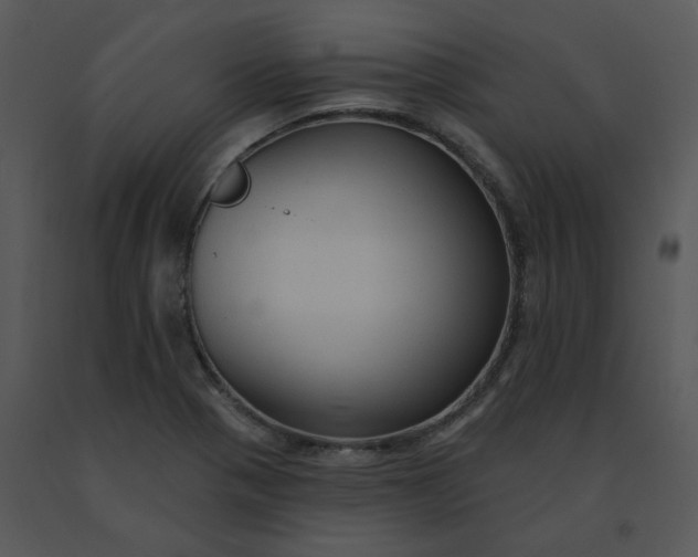 X0000091511321200708311219