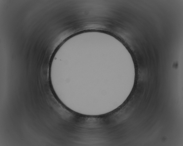 X0000091511322200708311219