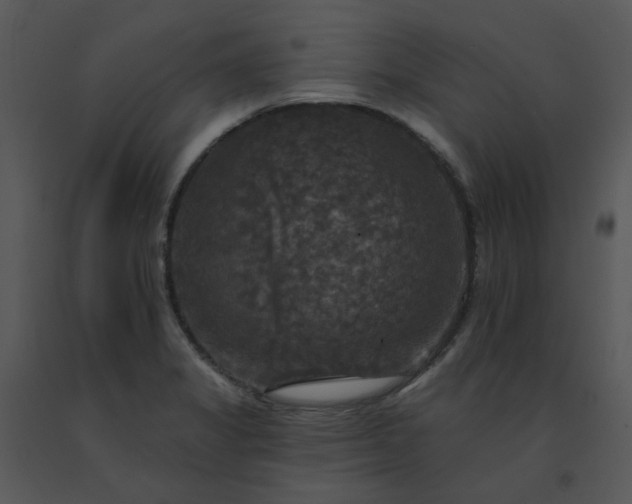 X0000091511325200708311219