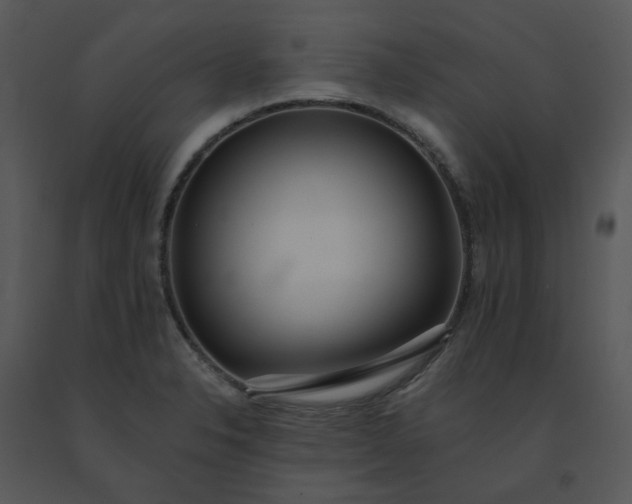 X0000091511326200708311219