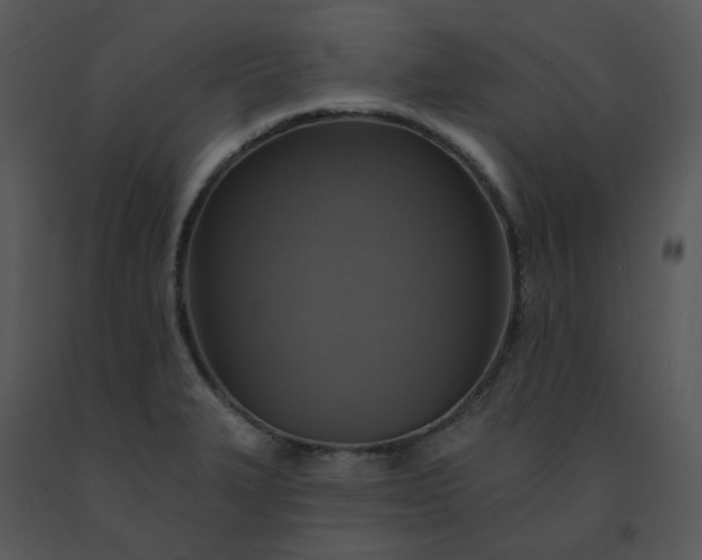 X0000091511327200708311219