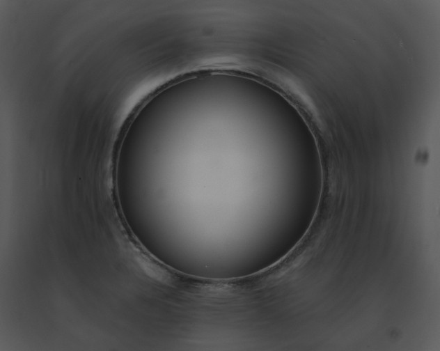 X0000091511328200708311219