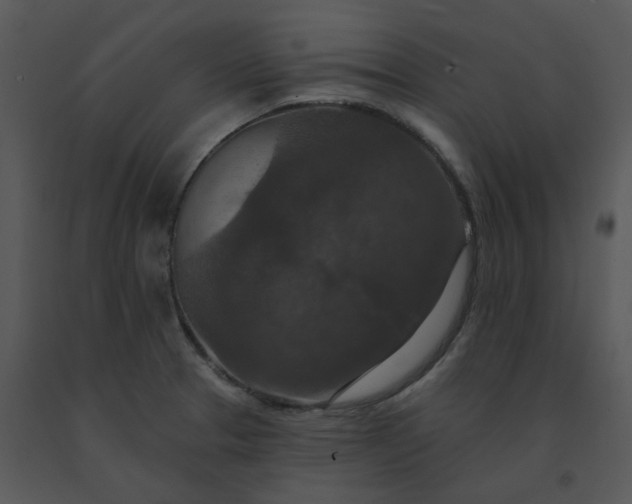 X0000091511329200708311219