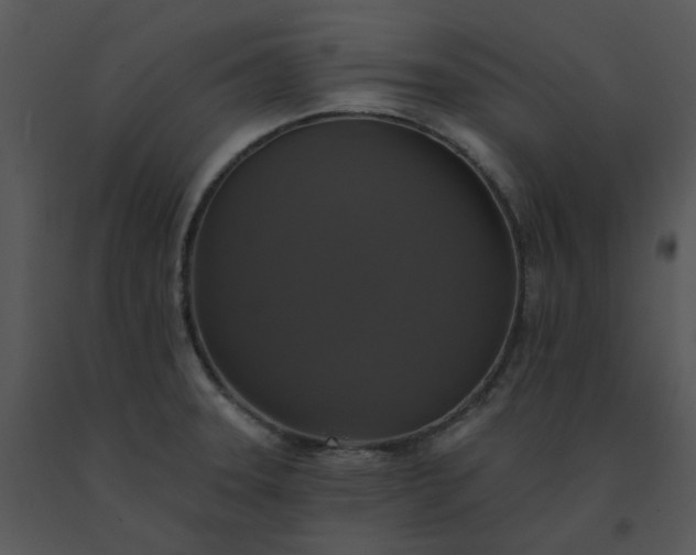 X0000091511331200708311219