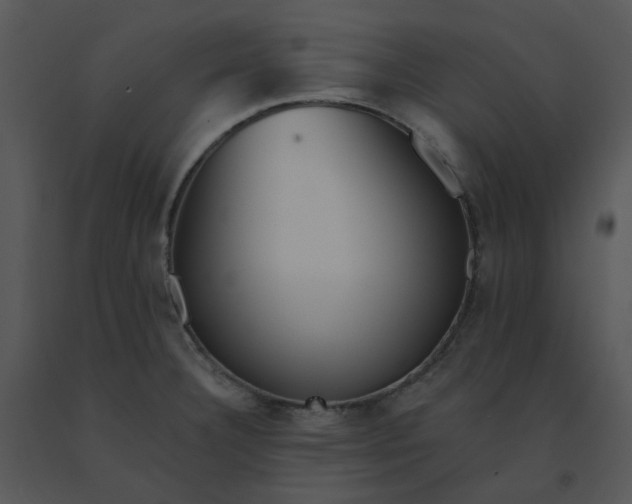 X0000091511332200708311219