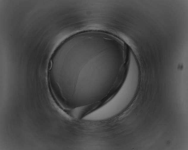 X0000091511334200708311219