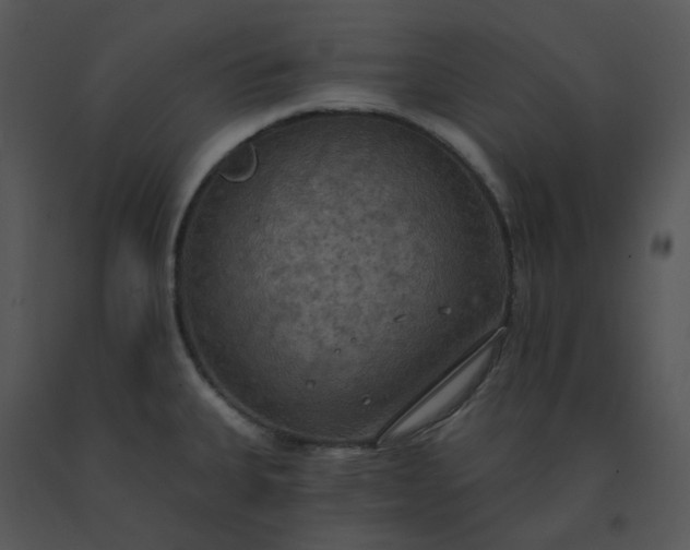 X0000091511335200708311219