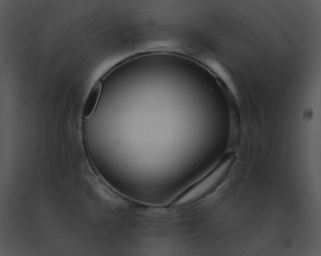 X0000091511336200708311219