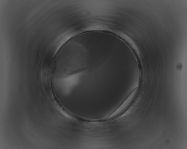 X0000091511337200708311219