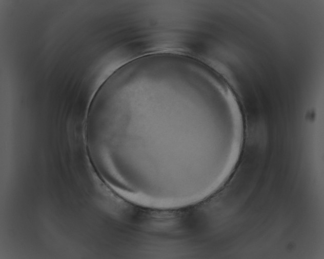 X0000091511338200708311219