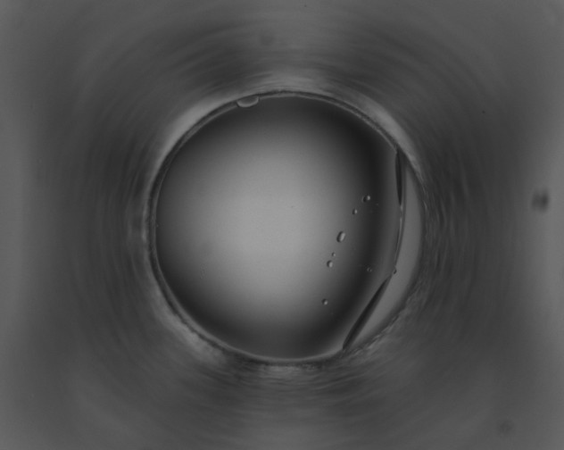 X0000091511339200708311219