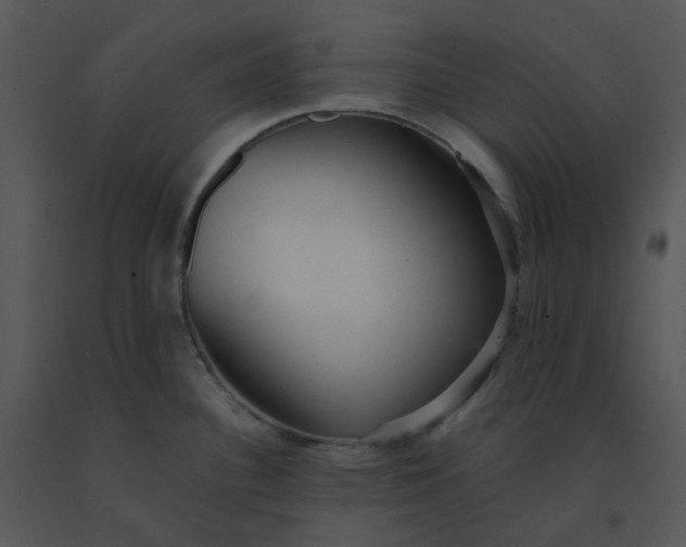 X0000091511340200708311219