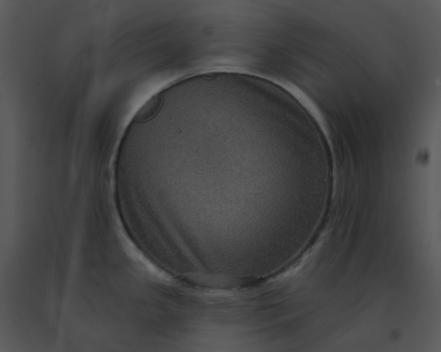 X0000091511341200708311219