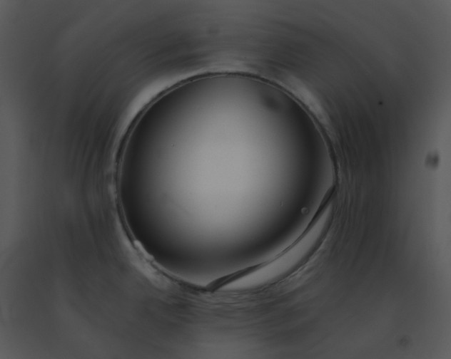 X0000091511342200708311219