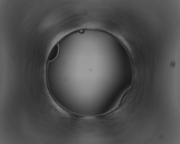 X0000091511343200708311219