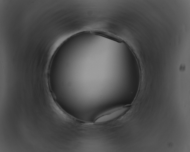 X0000091511344200708311219