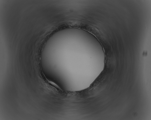 X0000091511345200708311218