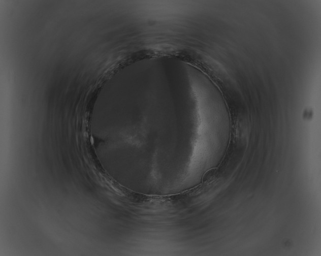 X0000091511346200708311218