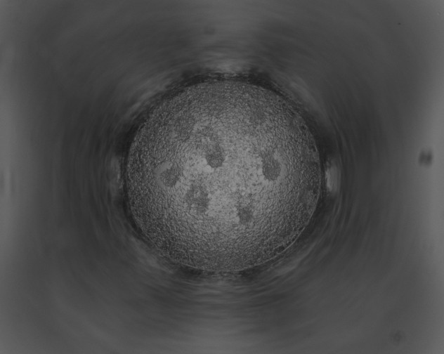 X0000091511347200708311218