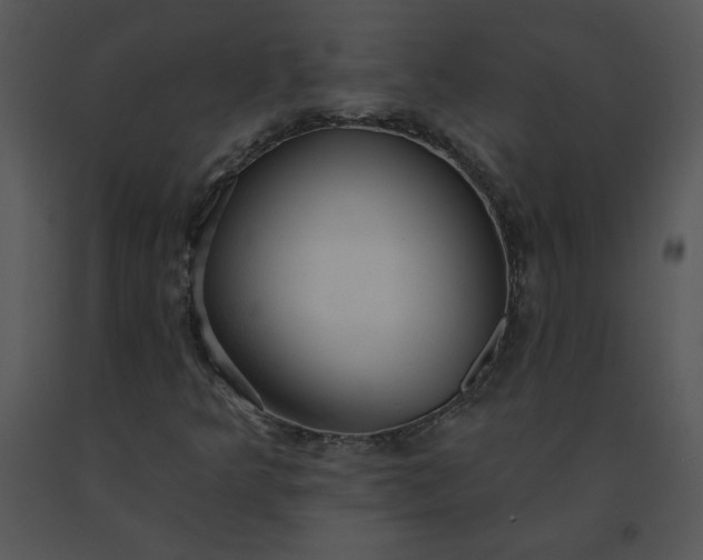 X0000091511349200708311218