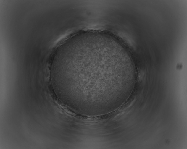 X0000091511350200708311218