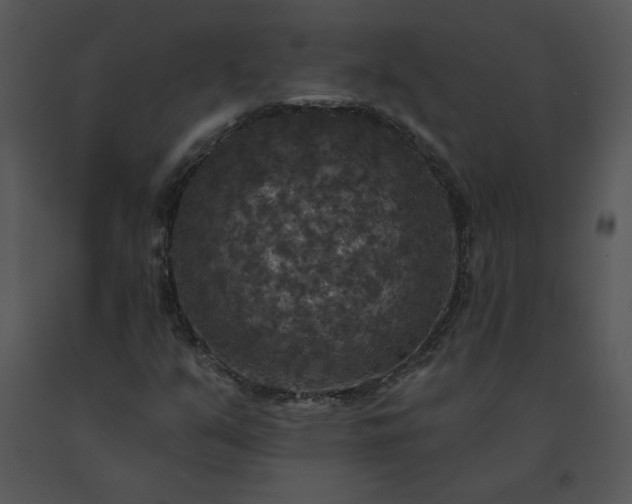 X0000091511351200708311218