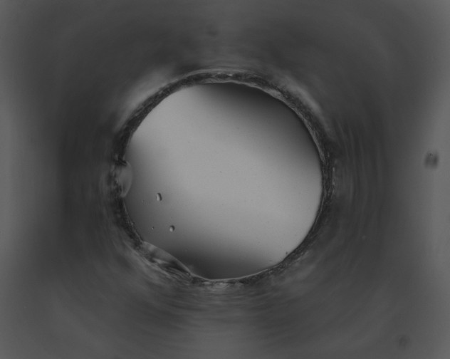 X0000091511352200708311218