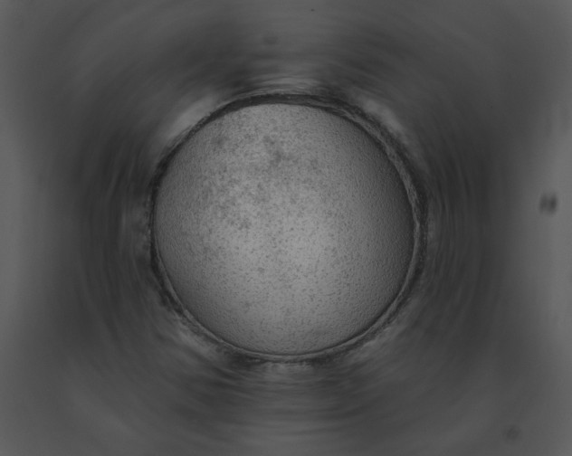 X0000091511354200708311218