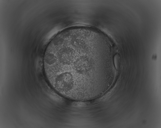 X0000091511355200708311218