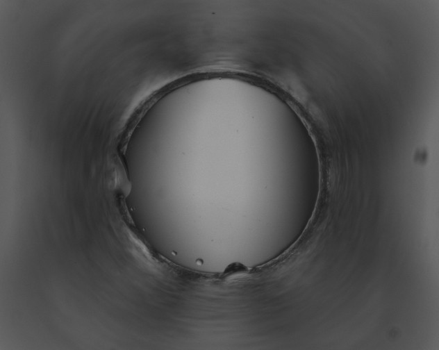 X0000091511356200708311218