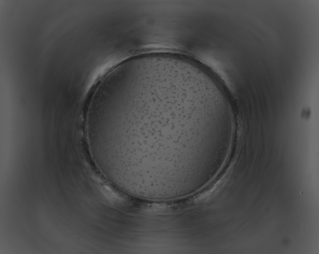 X0000091511357200708311218