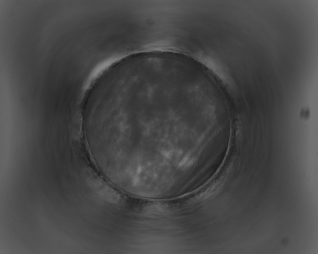 X0000091511358200708311218