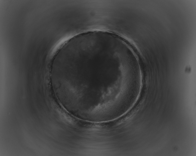 X0000091511359200708311218