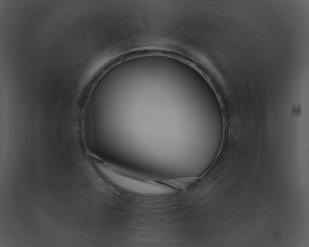 X0000091511360200708311218