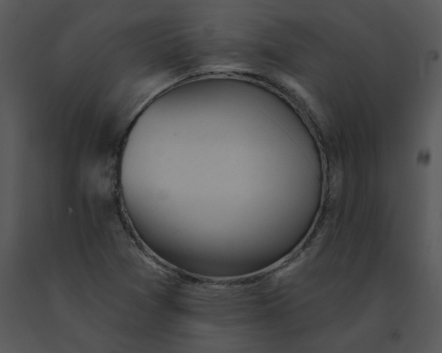 X0000091511361200708311218