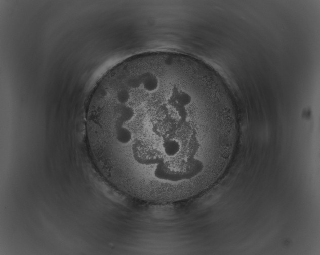 X0000091511363200708311218