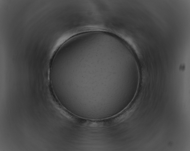 X0000091511365200708311218