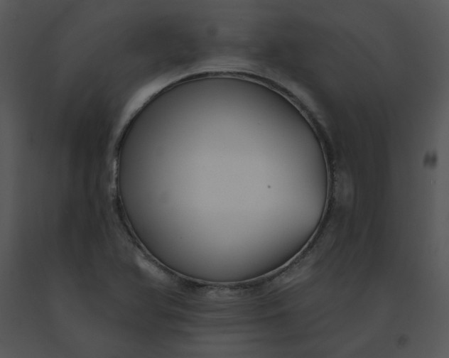 X0000091511366200708311218