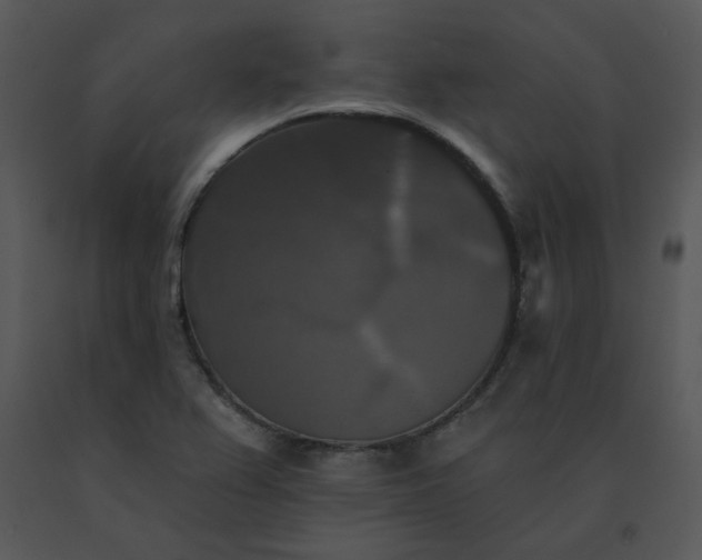 X0000091511367200708311218