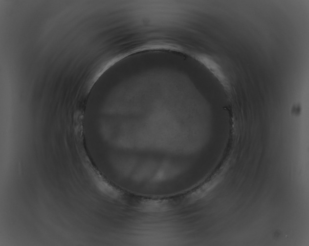 X0000091511369200708311218