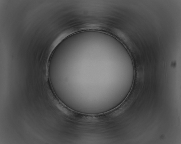 X0000091511370200708311218