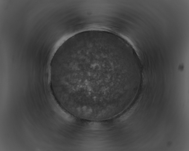 X0000091511371200708311218