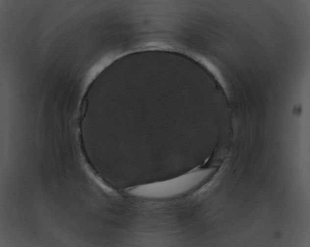 X0000091511373200708311218