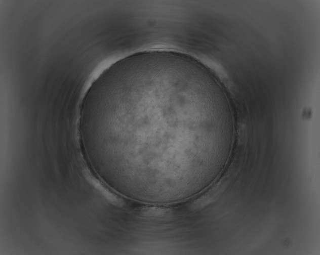 X0000091511374200708311218