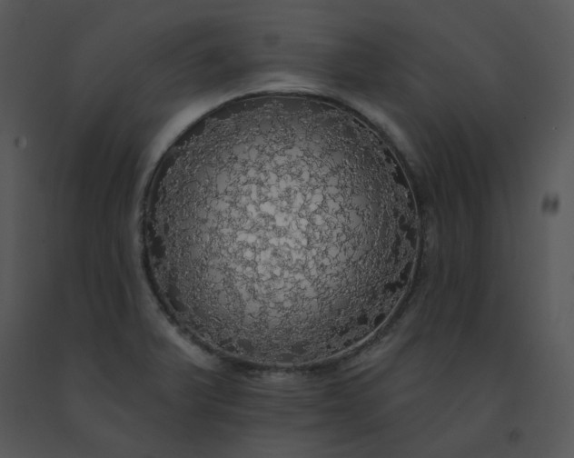 X0000091511375200708311218