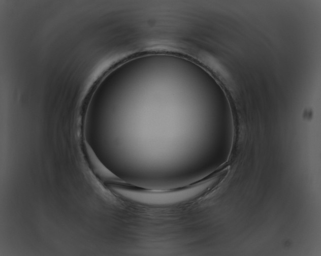 X0000091511376200708311218