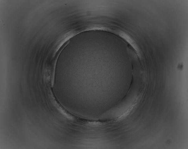 X0000091511377200708311218