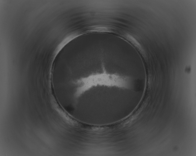 X0000091511378200708311218